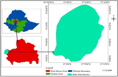Evaluating impacts of climate variability on smallholder livelihoods and adaptation practices in the western Shewa Zone, Oromia, Ethiopia